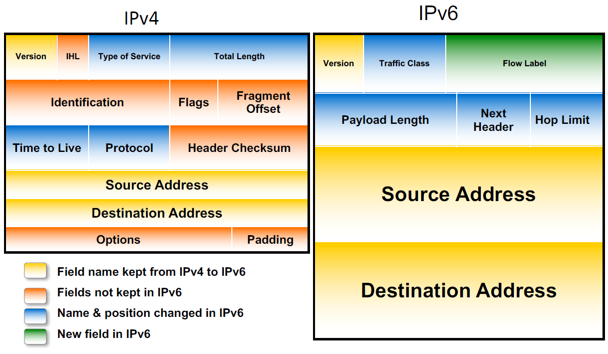 IP_header