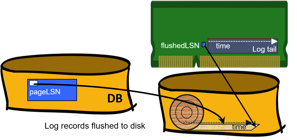 LSN
