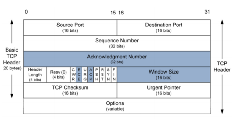 TCP_header