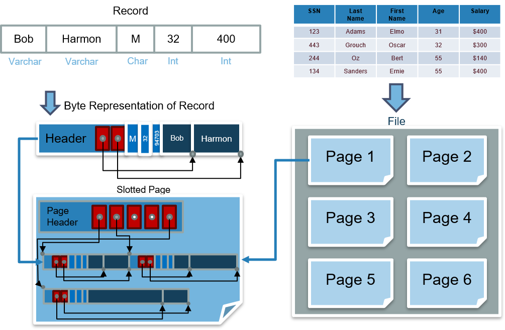 table_file_page_record